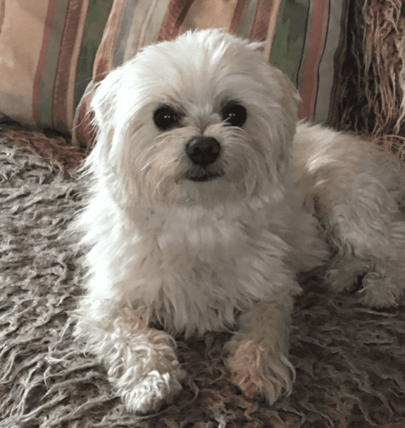 bildschirmfoto 2022 01 22 um 16.54.37