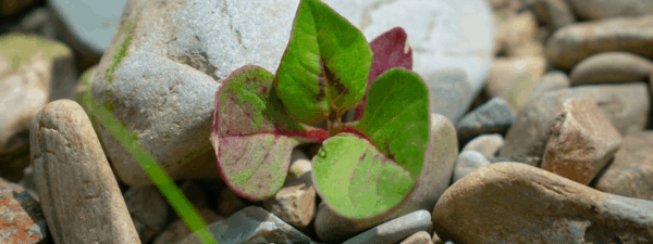 Design Ohne Titel (17)