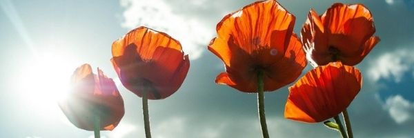 design ohne titel (5)