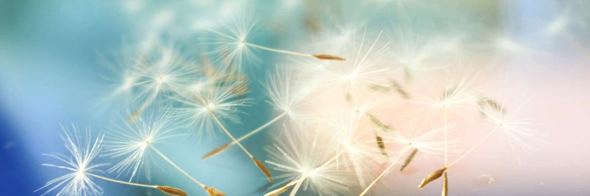 Abstract 1342498 1920